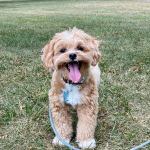 Meet your Posher, Courtney